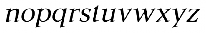 P22 Mai Pro Italic Font LOWERCASE