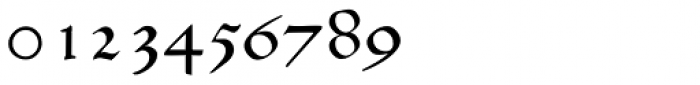 P22 Basel Roman Regular Font OTHER CHARS