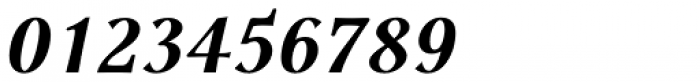 P22 Foxtrot Sans Pro Bold Italic Font OTHER CHARS