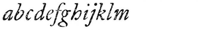 P22 Franklin Caslon Italic Font LOWERCASE
