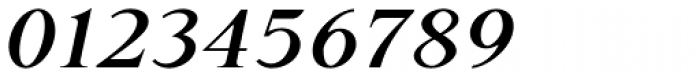 P22 Late November Pro Bold Italic Font OTHER CHARS
