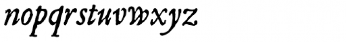 P22 Mayflower Pro Italic Font LOWERCASE