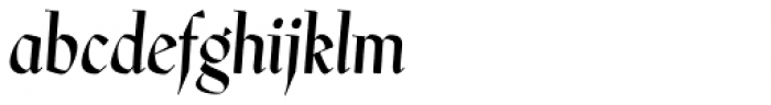P22 Preissig Calligraphic Italic Font LOWERCASE