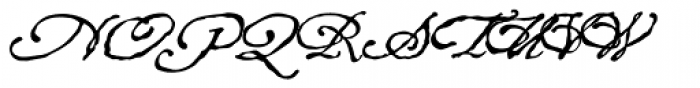 P22 Roanoke Script Font UPPERCASE