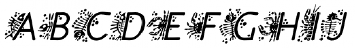 P22 Speyside Initials Italic Font UPPERCASE