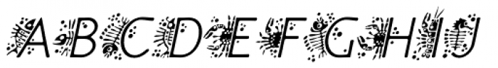 P22 Speyside Light Initials Italic Font UPPERCASE