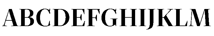 Palast Variable Bold Font UPPERCASE