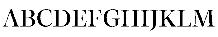 Palast Variable Medium Font UPPERCASE