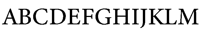 Palatino Linotype Medium Font UPPERCASE