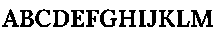 Parastoo Bold Font UPPERCASE