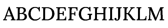 Parastoo Medium Font UPPERCASE