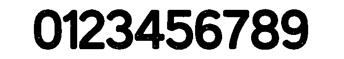 Palm Bay Social Sans Serif Font OTHER CHARS