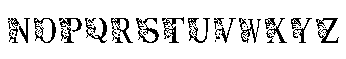 Papillon Monogram Regular Font UPPERCASE