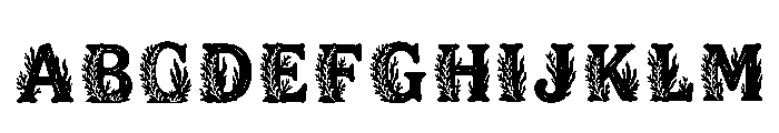 Parnu Regular FONT