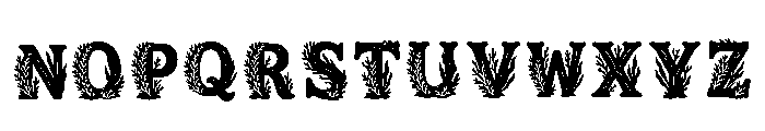 Parnu Regular Font LOWERCASE