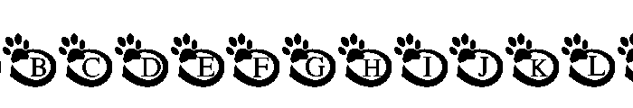 Pawfinity FONT