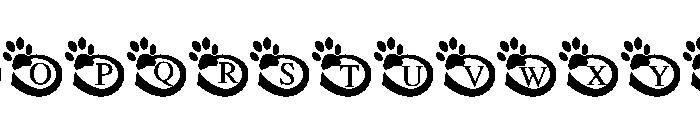 Pawfinity Font LOWERCASE