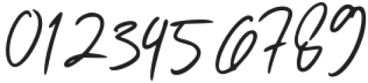 Palosty Signature Regular otf (400) Font OTHER CHARS