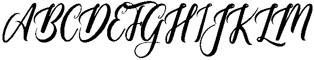 Paradise Regular otf (400) Font UPPERCASE