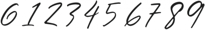 Paradise Signature Regular otf (400) Font OTHER CHARS