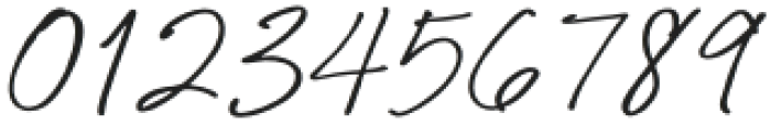 Paris Signature Regular otf (400) Font OTHER CHARS