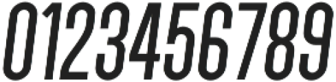 Parkson DemiBold Italic otf (600) Font OTHER CHARS