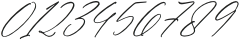 Parmidass Elarista Italic otf (400) Font OTHER CHARS