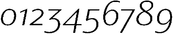 Partner Sans Light Italic otf (300) Font OTHER CHARS