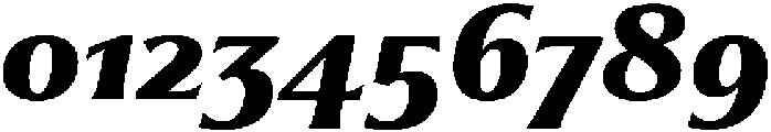 Partner Serif Black Italic otf (900) Font OTHER CHARS