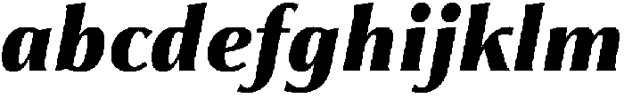 Partner Serif Black Italic otf (900) FONT