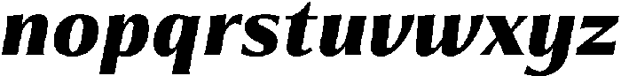 Partner Serif Black Italic otf (900) Font LOWERCASE