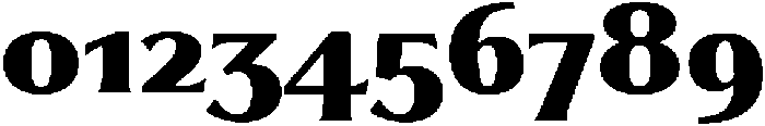 Partner Serif Black otf (900) Font OTHER CHARS