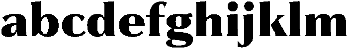 Partner Serif Black otf (900) FONT