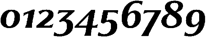 Partner Serif Bold Italic otf (700) Font OTHER CHARS
