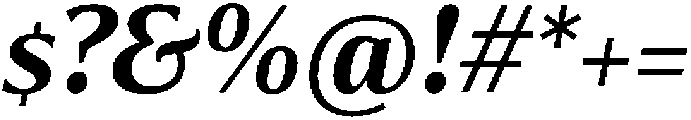 Partner Serif Bold Italic otf (700) Font OTHER CHARS
