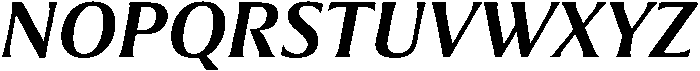 Partner Serif Bold Italic otf (700) Font UPPERCASE
