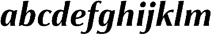 Partner Serif Bold Italic otf (700) FONT