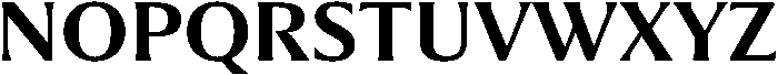 Partner Serif Bold otf (700) Font UPPERCASE