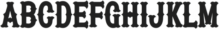 Patched Black otf (900) Font LOWERCASE