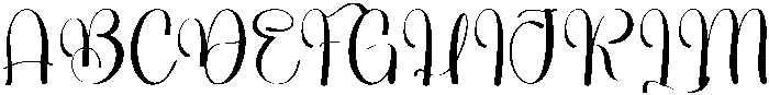Patient Checklist Regular otf (400) Font
