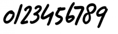Pandanus Italic Font OTHER CHARS