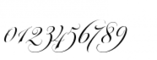 Parfumerie Script Decorative Font OTHER CHARS
