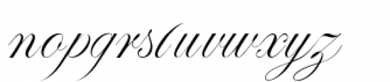 Paulette Regular Font LOWERCASE