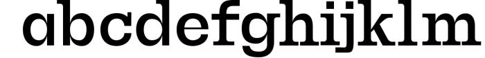 Paulose Modern Serif Font Family 1 Font LOWERCASE