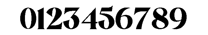 PAGE SERIF Font OTHER CHARS