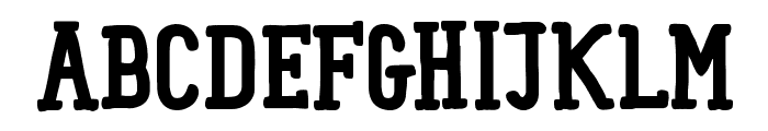 Panforte Serif Bold Font UPPERCASE