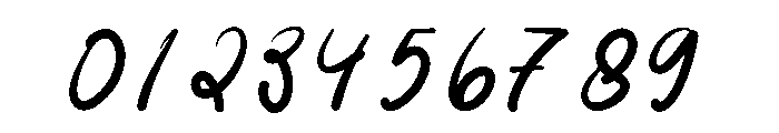 Paradise Coastal Font OTHER CHARS