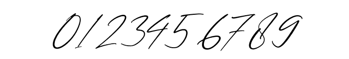 Patricia Signature Italic Font OTHER CHARS