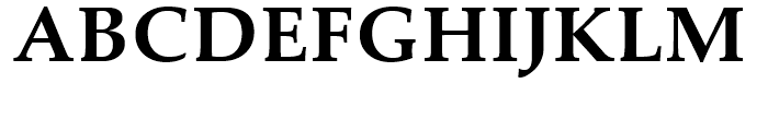 Palatino eText Bold Font UPPERCASE