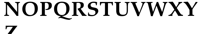 Palatino eText Bold Font UPPERCASE